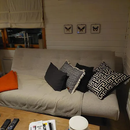 Kotoisa Moekki Kangasniemellae شاليه